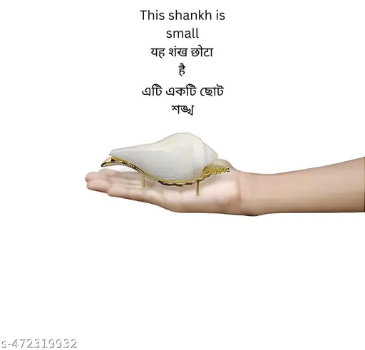 Pooja Jal Shankh & Premium Quality Brass Stand | Home Decor | Spiritual Item | Religious Use | Natural Non Blowing Conch with Brass Stand