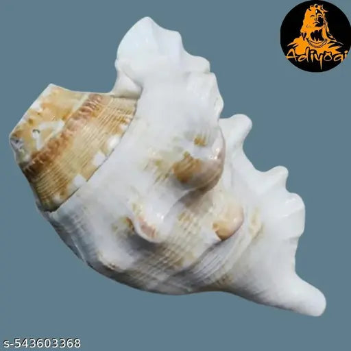 Decorative Yellow Pooja Shankh for Sacred Rituals and Divine Energy Flow