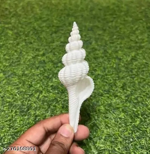 RIDDHI FASHION MART  pack of 1 psc LAXMI SHANKH