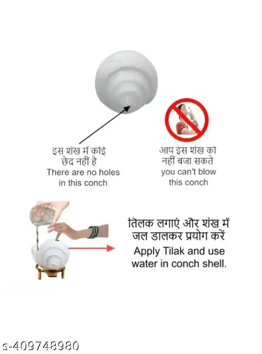 Shankhnaad Shankh or Pani Jol Sankha Size: M