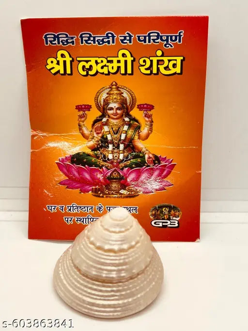 (Pack of 1 )100%  Laxmi Shankh Natural Pearl moti shankh/ shree Yantra for Laxmi puja Goodluck