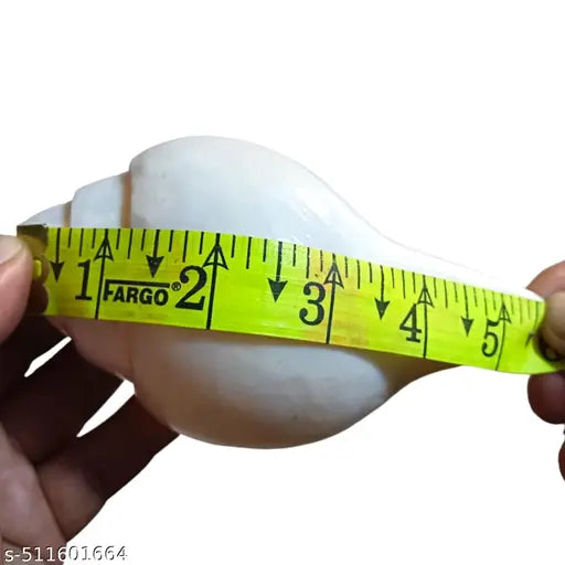 Vamavarti Original Loud Blowing Shankh|Conch for Pooja - 250 grm, 5 Inch (Size Guarantee - Quality Matters)