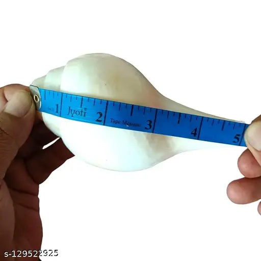 Jellybean Retails Vamavarti Natural Loud Blowing Shankh|Conch for pooja original, First Quality, Medium ,200 Grams, 12cm(4.5 inch) in Length Blowing Shankh Blowing Shankh