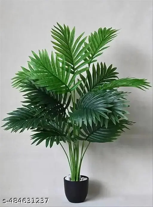 indoor plant outdoor plant home decoration items