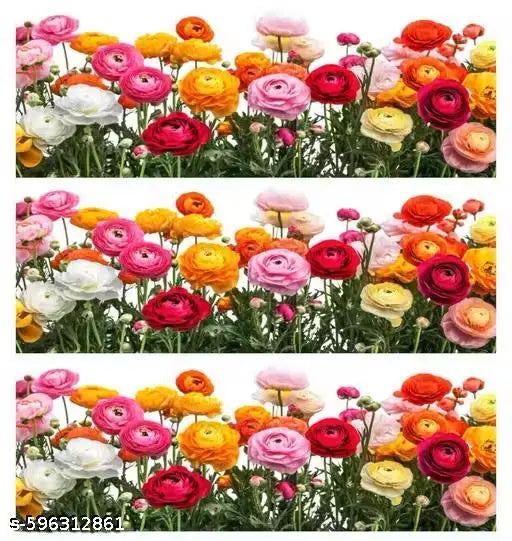 Rose Nature Inspired Flower and Grass with Butterflies Border Stickers - Wall Border Decals Self Adhesive Sticker & DIY Sticker