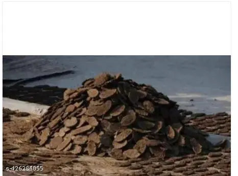 Natural Cow Dung Cake Big Handmade (5 pcs)/ Gobar Upala Kanda/Kande/Thepdi/Gowari for Navratri Agyari, Agnihotra, Havan, Yagya Puja Fully Product (Big Size -7 inch Approx.) Puja Articles Pack of 15