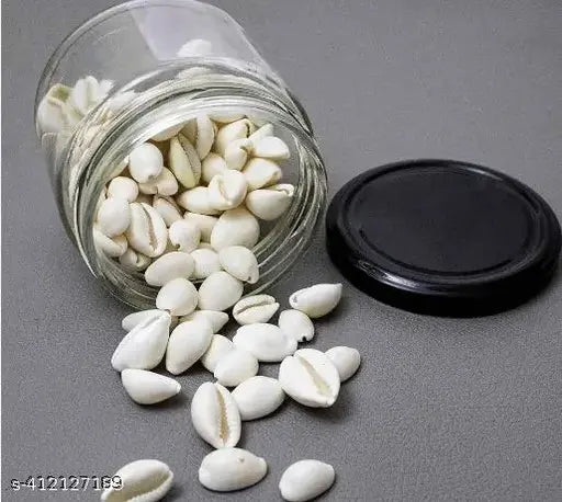 Kriddha 21 Natural Pure White Cowrie Original for Lakshmi Poojan and Bring Good Luck Pack of 21 Pcs Koudi/Kaudi/Kodi (Pack of 21)