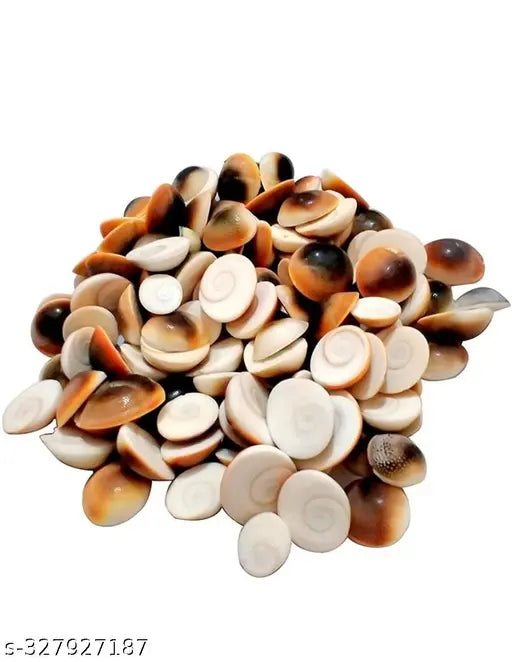 Urmila Traders  Gomati Chakra for Pooja  Pack of 108 piece.