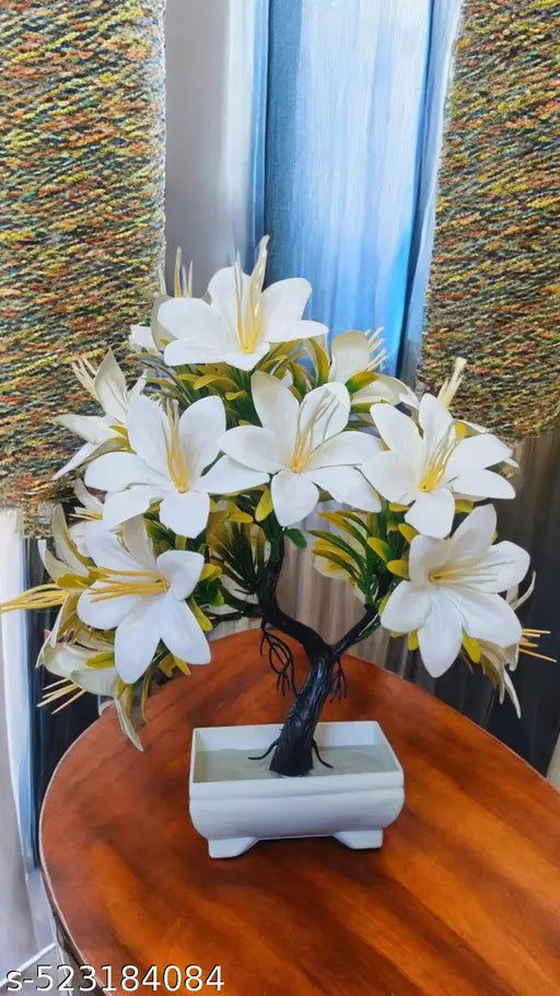 Attractive flowers plant for home , office and kitchen decoration