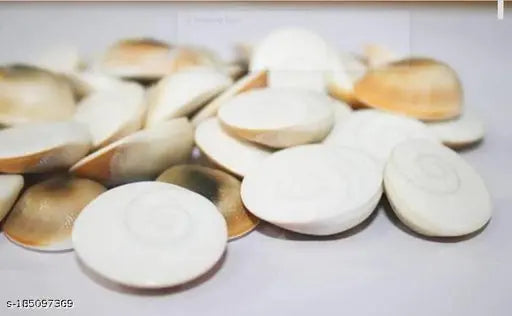 Saraswati Gallery Natural Gomti Chakra From Gomti River. It is used for Ma Laxmi Puja (Set of 11 Peace)