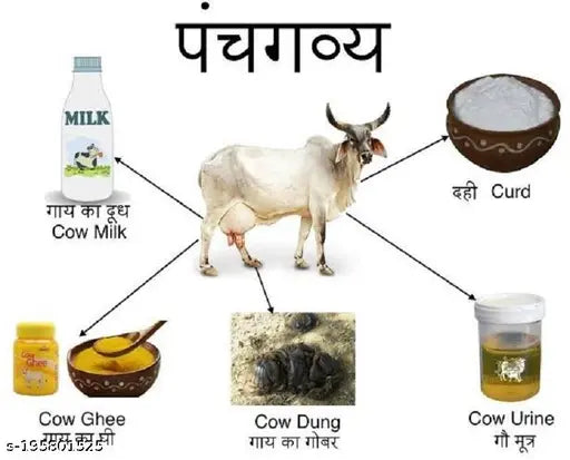 Cowwal’s Group Cow Urine Ark  is 100% Own Goushala pure Gaumutra