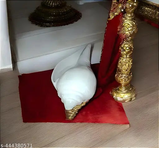 Traditional Conch | Pani Wala Shankh | Premium Quality Jal Shankh for Pooja Room, Arti, Purifies the Environment - 12 cm