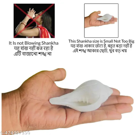 Bhabani Antique Shop Small Jal Shankh (Water Conch) With Brass Shankha Stand for Pooja & Home Décor – Natural Conch Shell for Spiritual/Ritual Use ( Small Size 7 CM , Pack Of 1 )