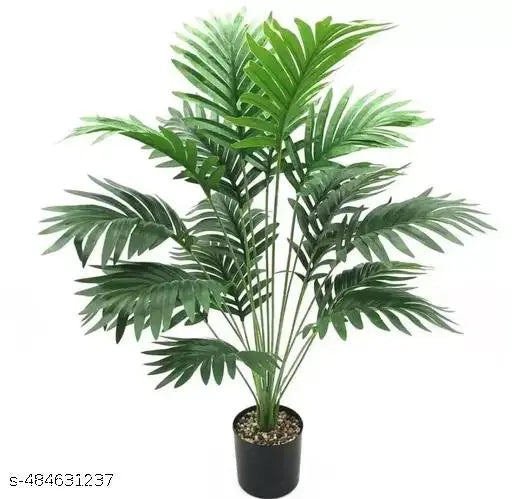 indoor plant outdoor plant home decoration items