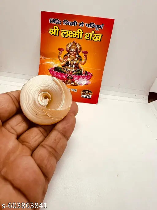 (Pack of 1 )100%  Laxmi Shankh Natural Pearl moti shankh/ shree Yantra for Laxmi puja Goodluck