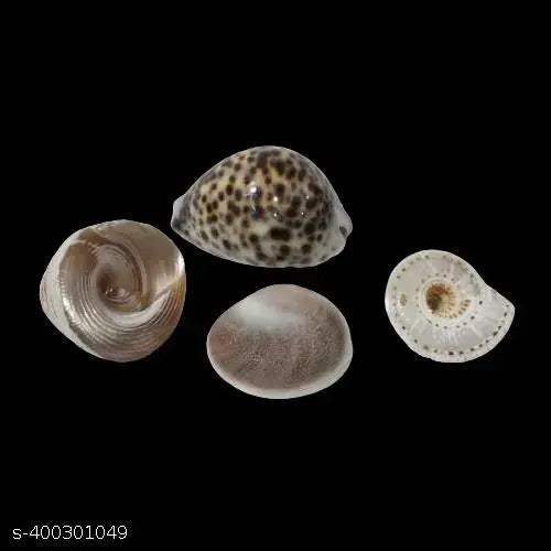 maha saving offer Vincare-Lakshmi Cowrie  / Gomati Chakra / Vishnu sudharshan Chakra / Lakshmi Shankh For Pooja (pack of 4)