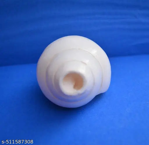Loud Blowing Shankh - Vamavarti Shankh - Bajnewala - Puja shankh - Original White 5 inch