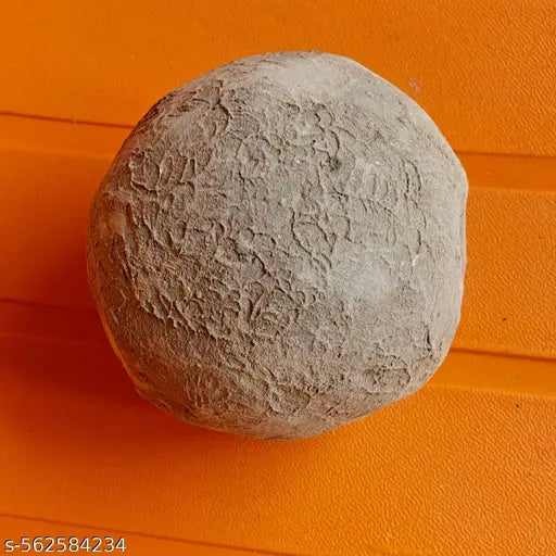 Vrindavan Tilak Raj Ball