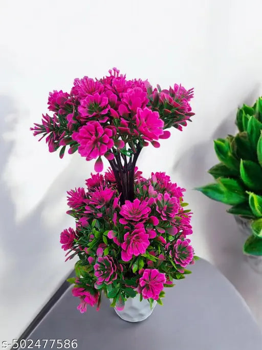 Attractive flowers plant for home , office and kitchen decoration