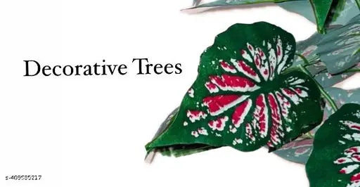 Sunever 18 Leafs Red Edema Plant Tree for Home Decors Items (60cm)