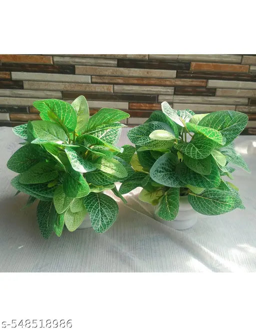 Flora Planet Artificial Plants for Home Decor | Realistic Looking | Home Decor Items | Durable Plastic | Wall Decoration Items for Living Room Dimensions : 6cm X 17cm Pack of 2