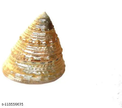 APSARA Devi Sri Guru ji Kit- Devil's Pod - 2 Pcs - Balamudi Yedamudi - 1 Each - Gomti Chakra -5 Pcs - 1 Sanku - 1 Pouch