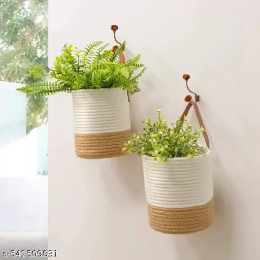 cutie basket