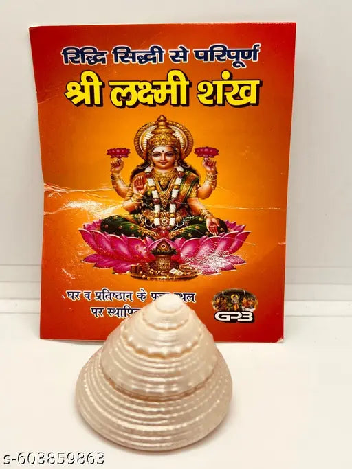 (Pack of 1 )100%  Laxmi Shankh Natural Pearl moti shankh/ shree Yantra for Laxmi puja Goodluck