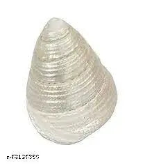 Anishaa eCrafts 100% natural pearl moti shankh/ shree yantra for laxmi puja  goodluck , size 1.5 inch