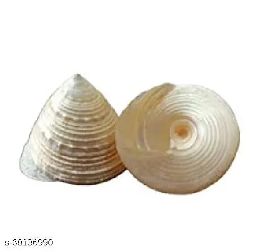 Anishaa eCrafts 100% natural pearl moti shankh/ shree yantra for laxmi puja  goodluck , size 1.5 inch