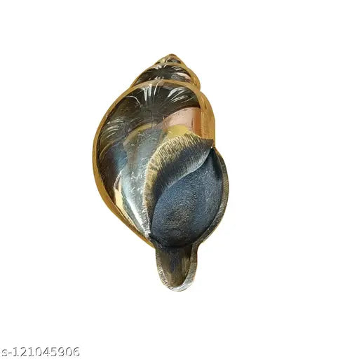 Craft World Brass Shankh for Pooja & Vamavarti Brings Prosperity, Happiness, Good Health & Wealth