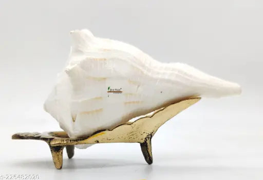 4 inch Natural White dakshinavarti shankh with brass stand for pooja