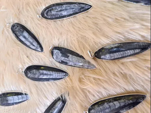 Natural Orthoceras fossil pendant Kuber Stone pendant for men and women Natural Kuber crystal locket Reiki Energy Orthoceras finance Pendant