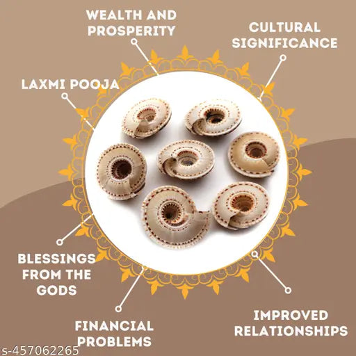 Senroar Seashell Vishnu Chakra for Pooja/Vastu Dosh and to Attract Wealth Pack of 5p