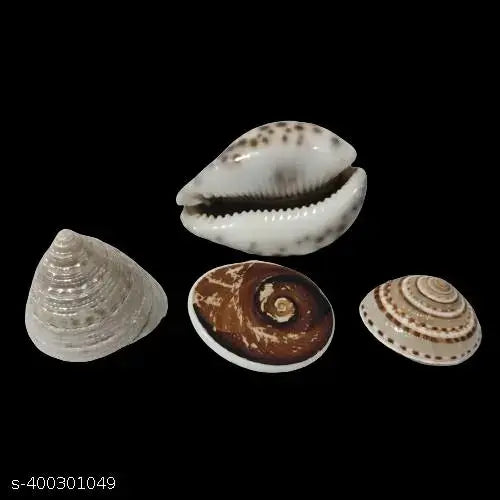 maha saving offer Vincare-Lakshmi Cowrie  / Gomati Chakra / Vishnu sudharshan Chakra / Lakshmi Shankh For Pooja (pack of 4)