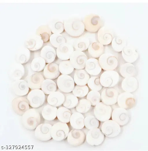 Urmila Traders  Gomati Chakra for Pooja  Pack of 108 piece.