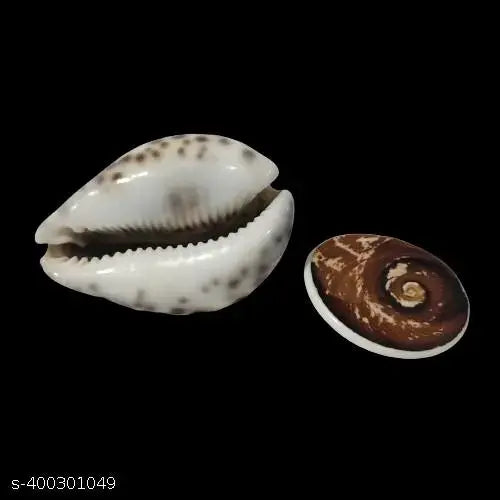 maha saving offer Vincare-Lakshmi Cowrie  / Gomati Chakra / Vishnu sudharshan Chakra / Lakshmi Shankh For Pooja (pack of 4)