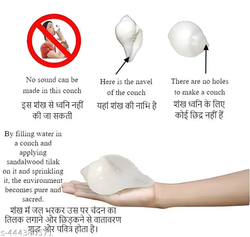 Traditional Conch | Pani Wala Shankh | Premium Quality Jal Shankh for Pooja Room, Arti, Purifies the Environment - 12 cm