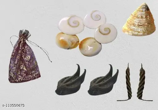APSARA Devi Sri Guru ji Kit- Devil's Pod - 2 Pcs - Balamudi Yedamudi - 1 Each - Gomti Chakra -5 Pcs - 1 Sanku - 1 Pouch