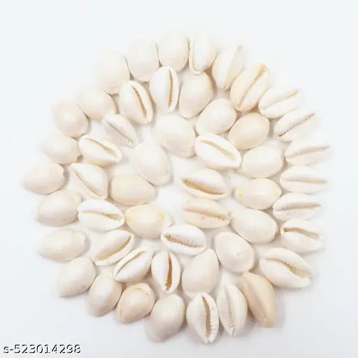 Pack or 21 Bihari ji white kodi Natural pure white kodi Lakshmi poojan and other use