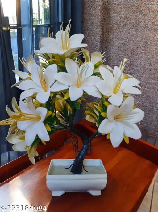 Attractive flowers plant for home , office and kitchen decoration