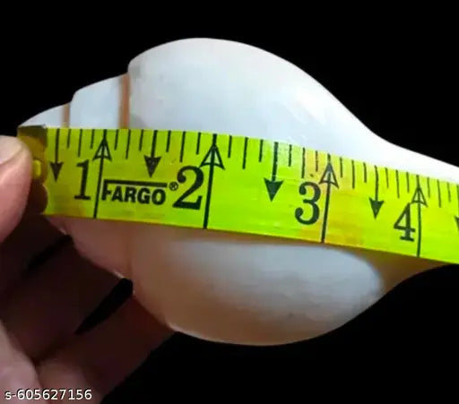 Jellybean Retails Vamavarti Original Loud Blowing Shankh|Conch For Pooja (Size Guarantee - Quality Matters) (4 Inchs to 5.5Inchs) blowing Shankh