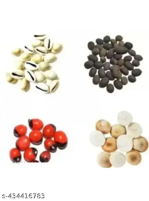 Saraswati Gallery Rakt Gunja 5 Gomti Chakra 5 Koudi Kaudi Gavalu 5 Kamal Gatta Seeds 5 Peaces for Puja Laxmi Puja Diwali Pooja Wooden Stoneware Yantra Pack of 20 Pcs Combo