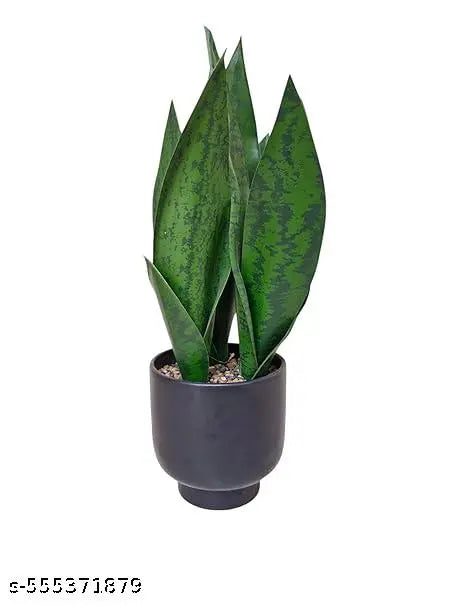 Chitra artworks Artificial Snake Plant with Decorative Pot | Realistic Faux Sansevieria for Home & Office Decor | Low Maintenance Indoor Plant | Lifelike Greenery for Tabletop, Shelf & Corner Display