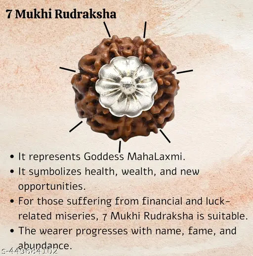 Original 7 Mukhi Nepali Rudraksha Seven Face Rudraksh Wood Pendant AOQ268
