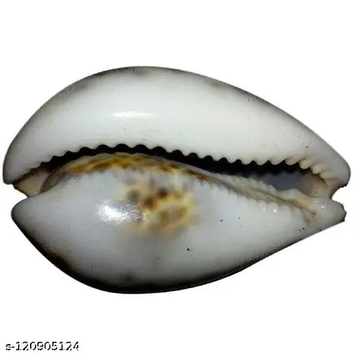 puja articles