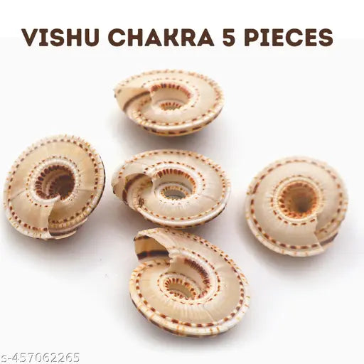 Senroar Seashell Vishnu Chakra for Pooja/Vastu Dosh and to Attract Wealth Pack of 5p