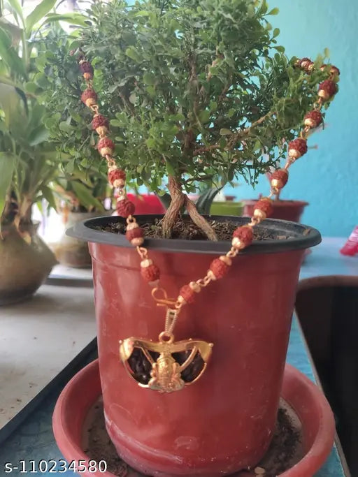 Rudraksha Mala