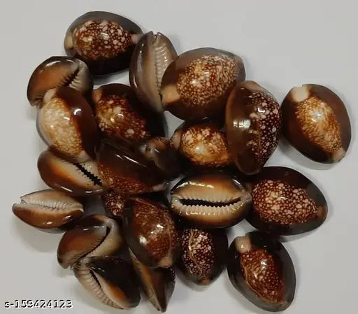 Bachapan DigiRake Kauri - Kowri - Cowry - Kaudi - Cowrie - Gavvalu- 21 Pcs (21) Stoneware Yantra