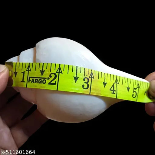 Vamavarti Original Loud Blowing Shankh|Conch for Pooja - 250 grm, 5 Inch (Size Guarantee - Quality Matters)